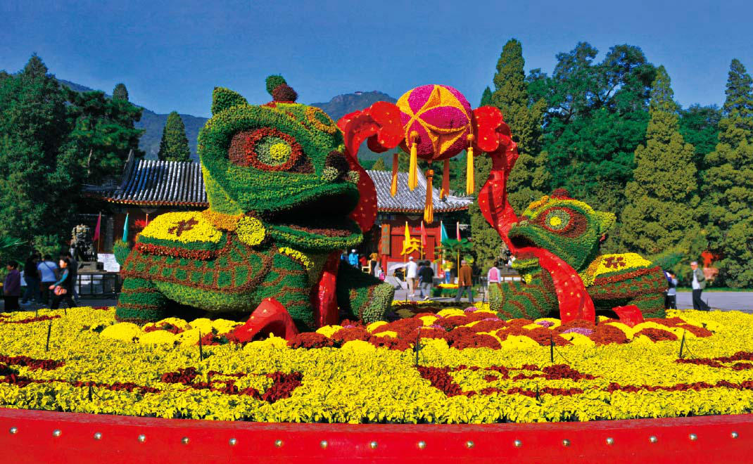 国庆六十周年花卉布置·香山公园“狮腾鼓乐”花坛