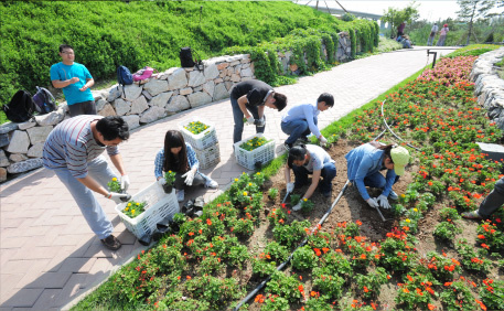 主题团日活动-园博园养护劳动