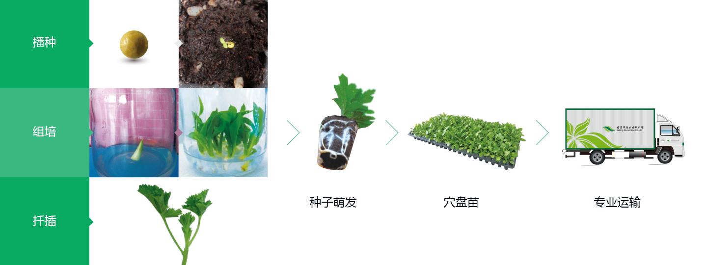 产品形式