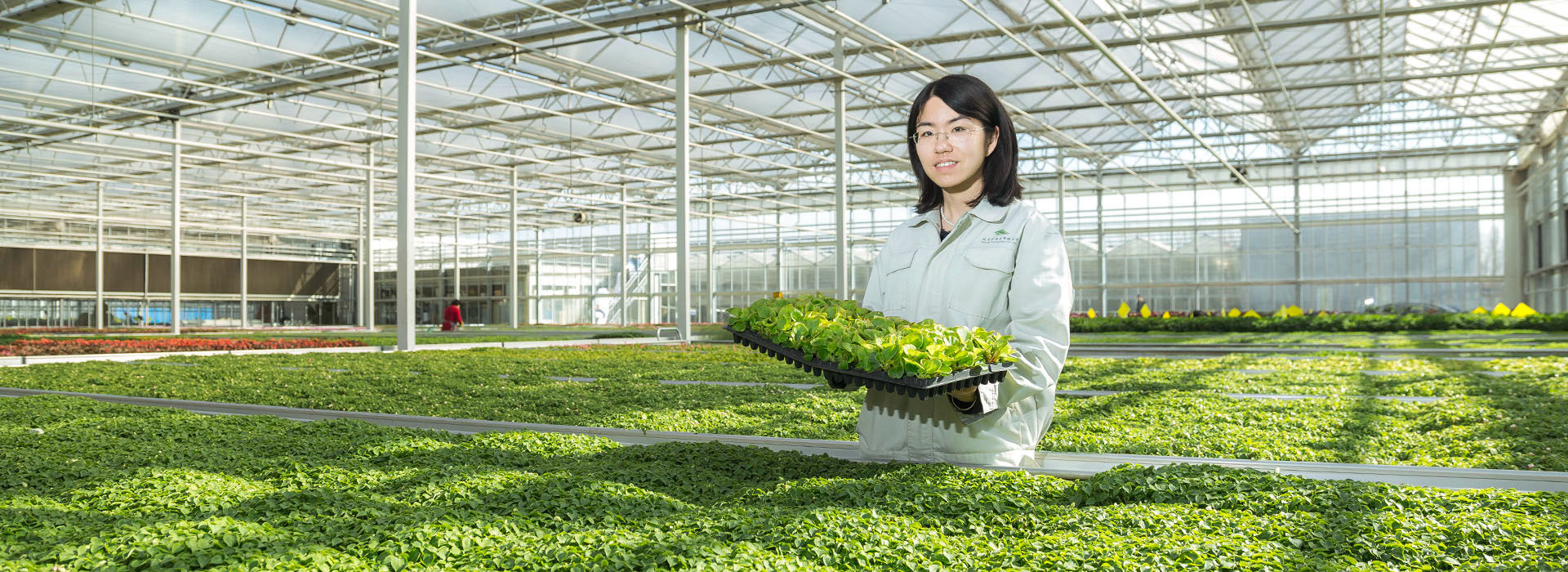 现代化温室
